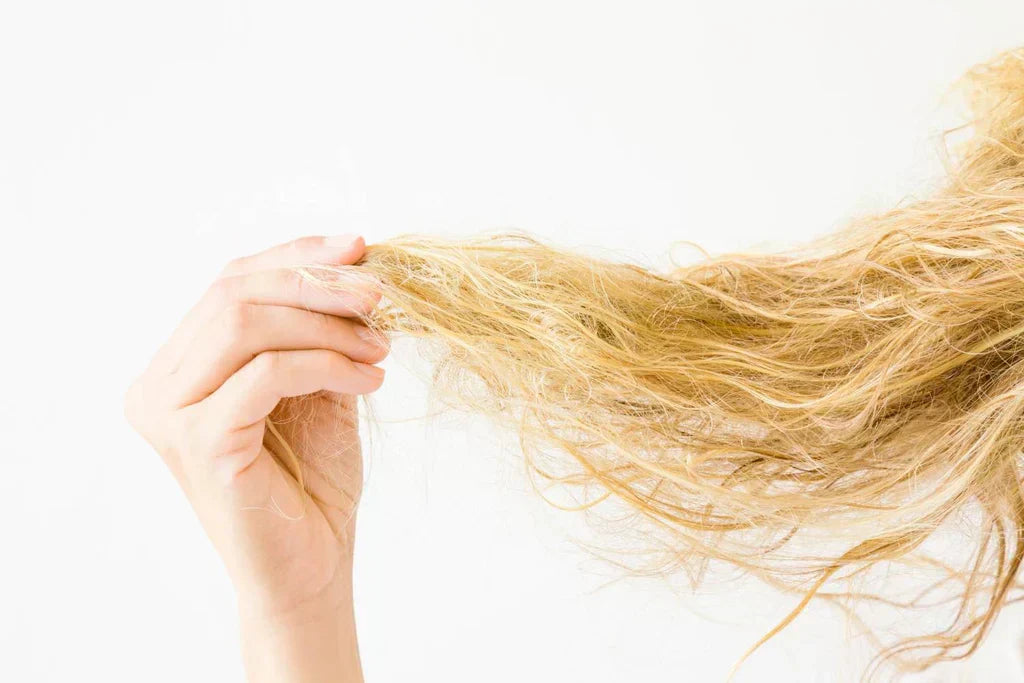 A Complete Guide to Repairing Bleached Hair at Home