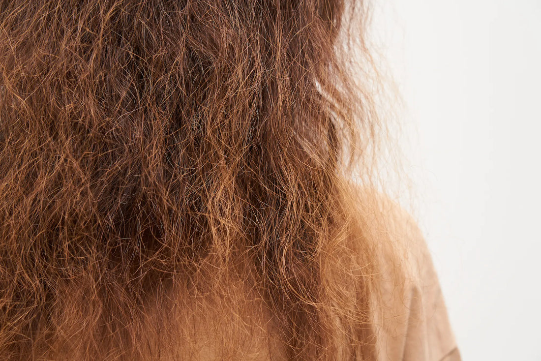 Anti-Frizz Hair Care: What Actually Works (Science-Backed Guide)